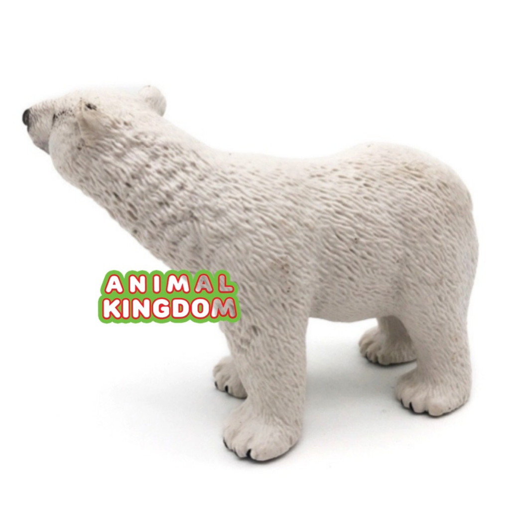 animal-kingdom-โมเดลสัตว์-หมีโพล่า-คลาน-ขนาด-10-00-cm-จากหาดใหญ่