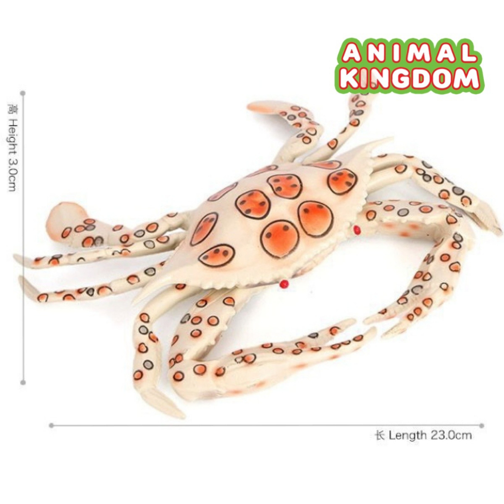 animal-kingdom-โมเดลสัตว์-ปูม้า-ขาวจุด-ขนาด-23-00-cm-จากหาดใหญ่