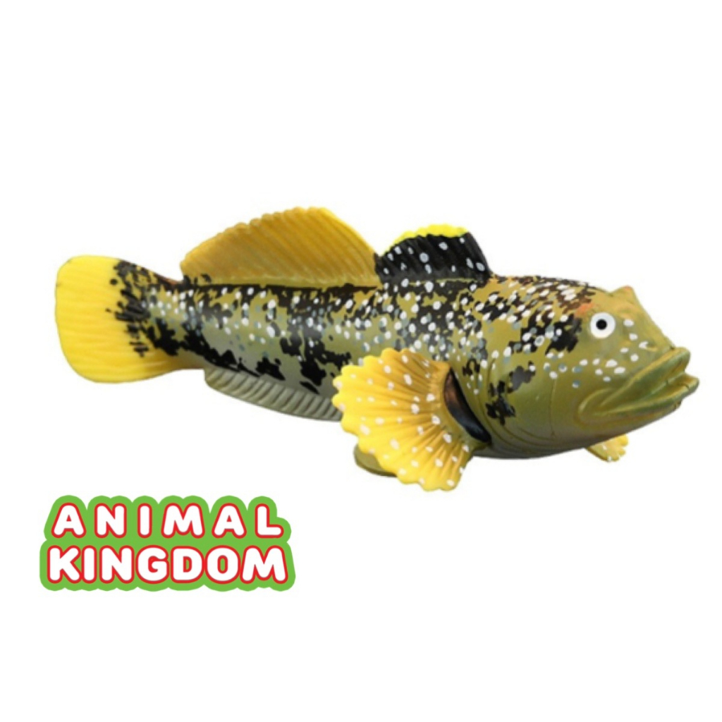 animal-kingdom-โมเดลสัตว์-ปลาตีน-ขนาด-11-00-cm-จากหาดใหญ่