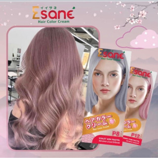 ESANE Hair Color Cream #อีซาเน่ แฮร์คัลเลอร์ครีม ครีมย้อมสีผม สีผมแฟชั่น สีติดทน กลิ่นไม่ฉุน 100มล.