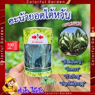 คะน้ายอดไต้หวัน 100 กรัม 🍃  เมล็ดพันธุ์ ตราศรแดง คะน้า คะน้ายอด เมล็ดพันธุ์ผักสวนครัว เมล็ดคะน้า อัตราการงอกสูง