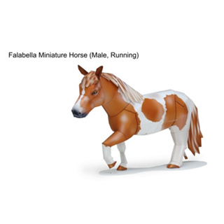 โมเดลกระดาษ 3D : ม้าแคระ Falabella Miniature Horse กระดาษโฟโต้เนื้อด้าน  กันละอองน้ำ ขนาด A4 220g.
