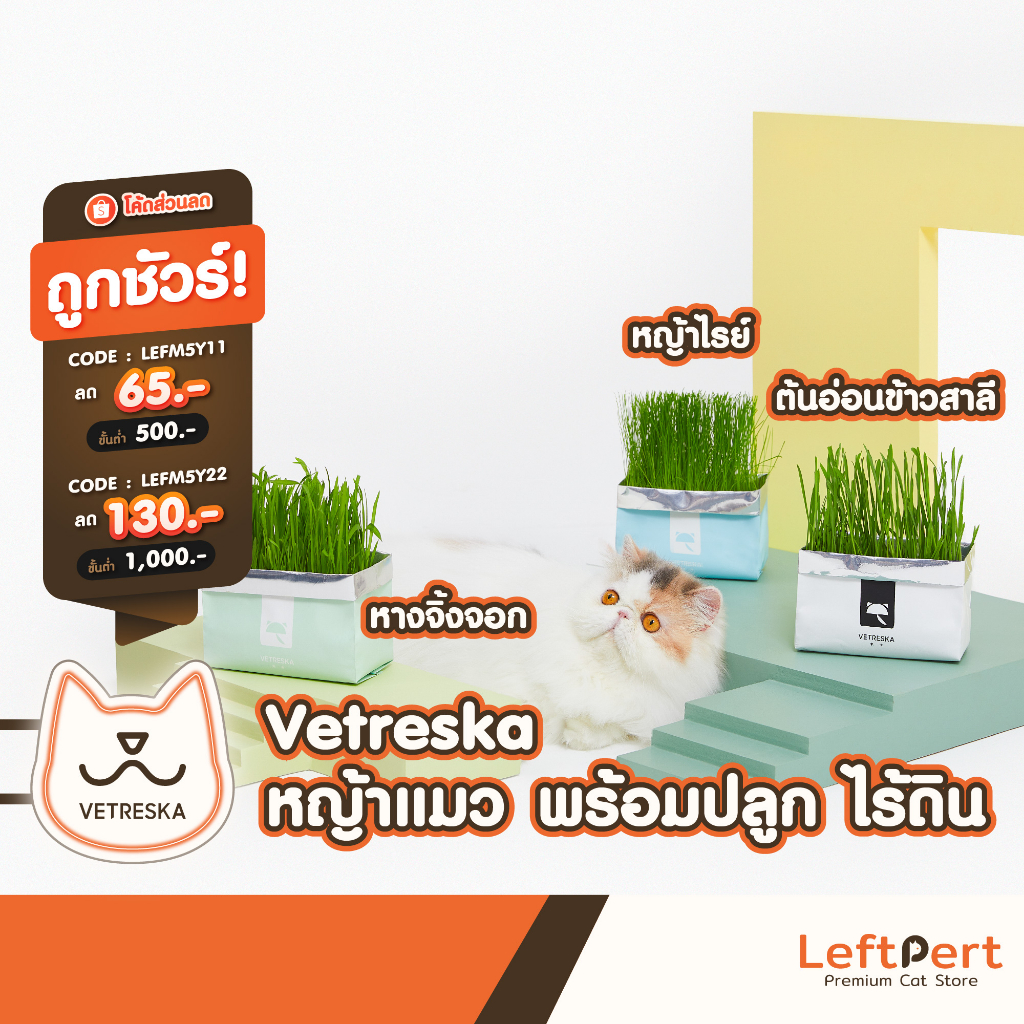 ภาพหน้าปกสินค้าVetreska หญ้าแมว พร้อมปลูก ต้นอ่อนข้าวสาลี จากร้าน leftpert บน Shopee