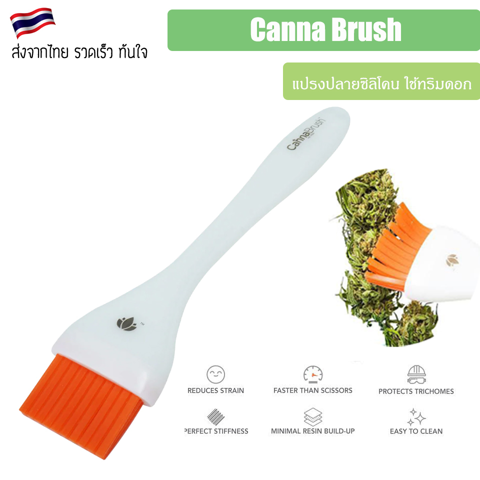 ส่งฟรี-cannabrush-แปรงทริมดอก-แปรงทริม-ของแท้-usa-canna-แปลงทริมดอก