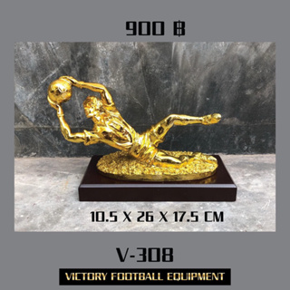 ถ้วยรางวัลVictory V-308