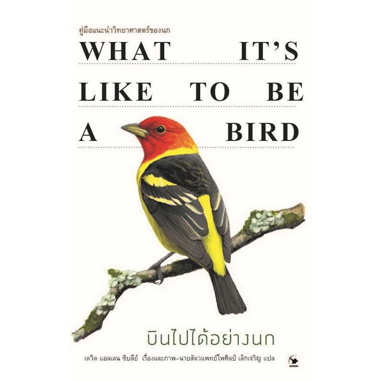 ศูนย์หนังสือจุฬาฯ-บินไปได้อย่างนก-คู่มือแนะนำวิทยาศาสตร์ของนก-ปกแข็ง-c111