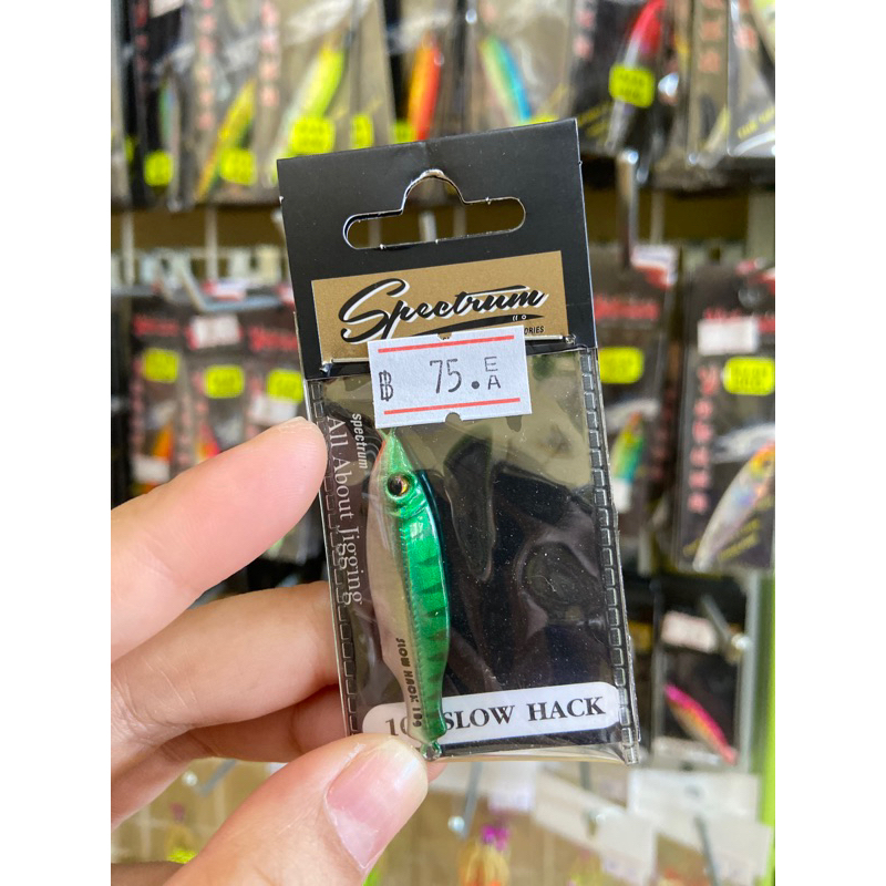 ไมโครจิ๊ก10กรัม Slow Hack | Shopee Thailand