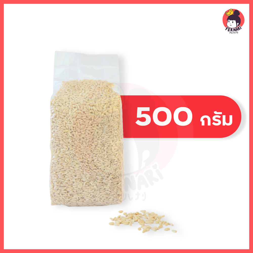 ข้าวโอ๊ต-อาหารนก-นำเข้าจากออสเตรีย-อาหารเสริมสำหรับนก-สะอาด-ไร้ฝุ่น-ใหม่