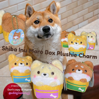 พวงกุญแจเจ้าก้อนชิบะในกล่อง YELL ป้ายห้อย Shiba Inu Maro Box Plushie Charm with Paper tag