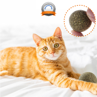 (2 ลูก) บอลแคทนิป ของเล่นแมว  catnip ball  หญ้าแมว แคทนิบ แคทนิปบอล  ที่ลับเล็บแมว ต้นไม้แมว แปรงขนแมว กัญชาแมว