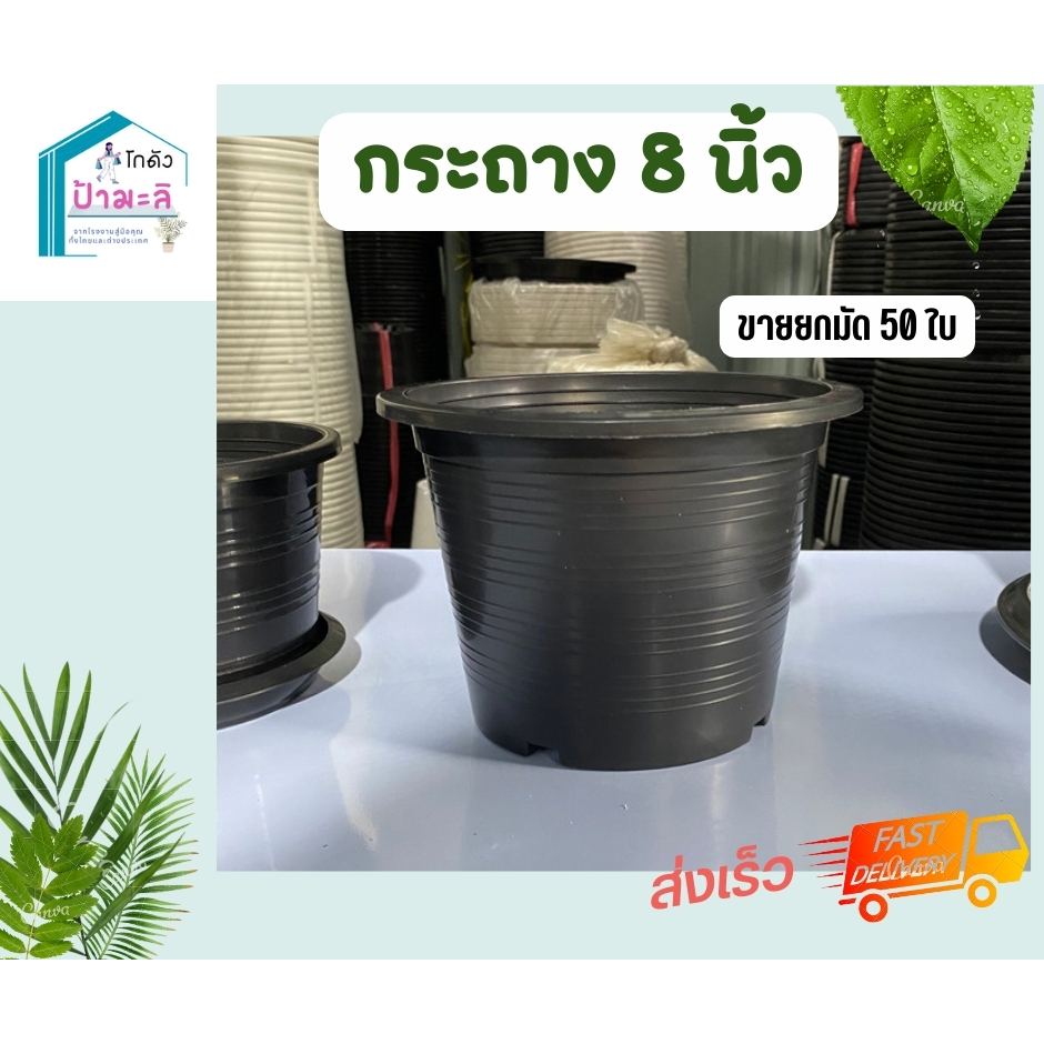 กระถาง8นิ้ว-50ใบ-ราคาส่งจากโรงงาน