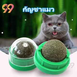 99PET กัญชาแมว หญ้าแมว กันชาแมว กัญชาเเมว แคทนิปแมว catnip ball กันชาแมวส่งฟรี กัชชาแมว กันชาแมวเลีย แคทนิปบอล ติดกำแพง