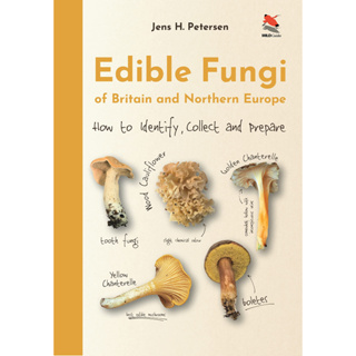 Edible Fungi of Britain and Northern Europe: How to Identify, Collect and Prepare Hardcover