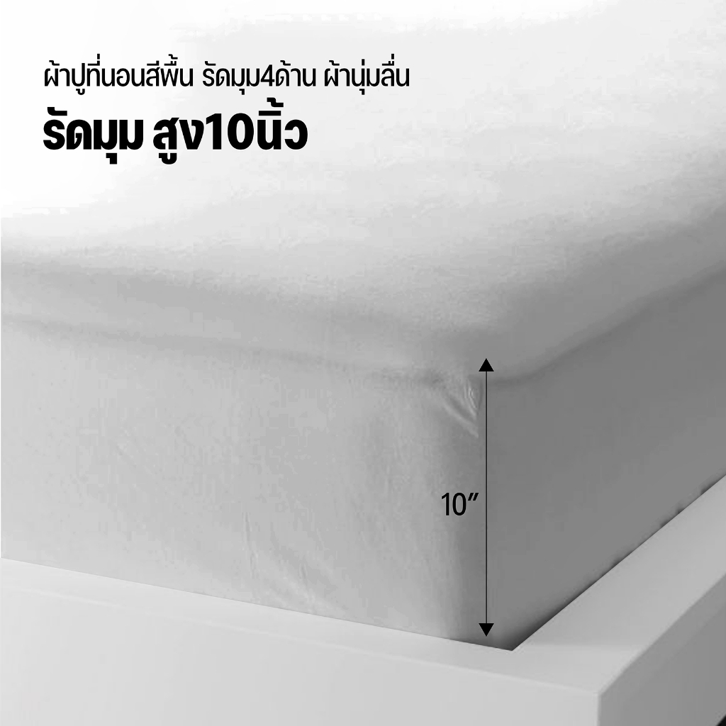 ชุดผ้าปูที่นอน-dd-รุ่น-soft-touch-แบบรัดมุม-สีเทาพลาสเทล-ครบเซ็ต-จะซื้อของแพงกว่าไปทำไม-สินค้าเราถูกกว่า-ดีกว่า