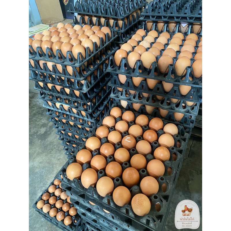 ไข่ไก่เบอร์-3-ปลอดสารเคมี-สะอาด-สด-ใหม่-จากฟาร์มวิรัช-เทวภักดิ์