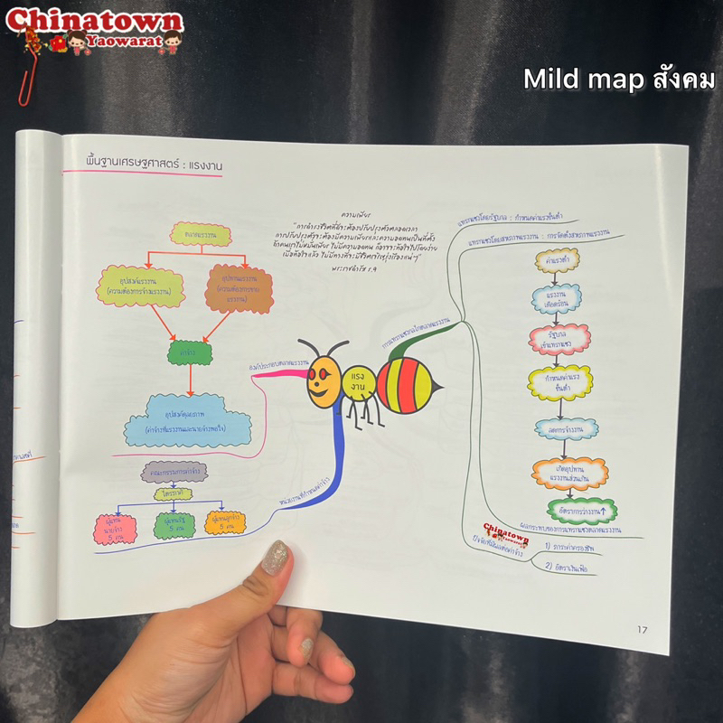 หนังสือent-maps-สังคม-mind-mapสรุปเนื้อหาวิชาสังคมที่ต้องรู้เข้าใจได้ใน1วัน