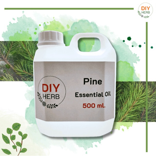 หัวน้ำหอมแท้ กลิ่นต้นสน Pine Essential Oil 500 ml.เกรดพรีเมียม สำหรับทำเครื่องหอม เครื่องสำอางค์ Lotion , cream , soap