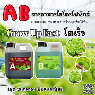 ปุ๋ย AB ไฮโดรโปนิกส์  Hydro ขนาด 1 ลิตร ซื้อ 1 ได้ 2 (A+B)