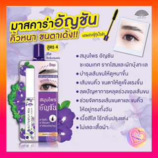 Meiji Butterfly Pea เซรั่มบำรุง ขนตา ขนคิ้ว แบบใส กระตุ้นการงอกของเส้นผม ไม่ระคายเคือง 3 g. /ซอง