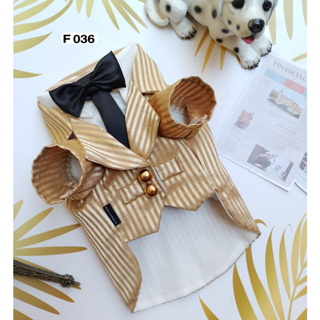 Pet cloths - Doggydolly ชุดเจ้าบ่าว  เสื้อผ้าสัตว์เลี้ยง หมาแมว ทักซิโด้  สูทโบว์หน้า สีทอง ขนาดไซส์ 1-9 โล -  F036