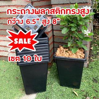 🔥SALE🔥 กระถางทรงสูง 8 นิ้ว กว้าง 6.5 นิ้ว กระถางสี่เหลี่ยม