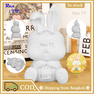 Rex TT กระต่าย ตุ๊กตาระบายสี ตุ๊กตาปูนปลาสเตอร์ DIY กระปุกออมสิน ตุ๊กตาไวนิล กราฟฟิตี ของขวัญสำหรับเด็ก ของเล่นทำมือ