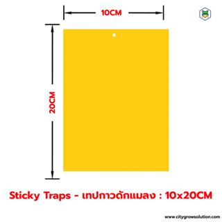 Sticky Traps เทปดักแมลง แผ่นกาวดักแมลง ที่ดักแมลง - กาวเหนียวพิเศษ 2 ด้าน (ขนาด 10x20CM)