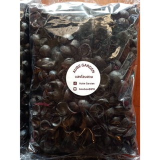 ถ่านแมคคาเดเมีย(macadamia charcoal)