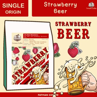 เมล็ดกาแฟ น่าน Strawberry Beer Thailand