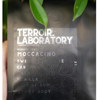 &lt;New Blend&gt; เมล็ดกาแฟ "MOCCACINO" [Terroir Laboratory] - Sweet chocolate, Caramel, Malt, Vanila, Heavy body(Medium,250g)