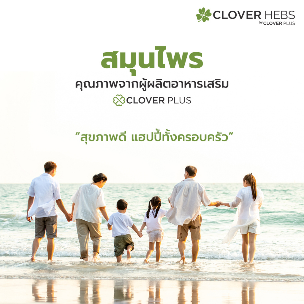 clover-hebs-เถาวัลย์เปรี้ยง-ยาแผนโบราณ-บรรเทาอาการปวดเมื่อย-1-กระปุก-30-แคปซูล