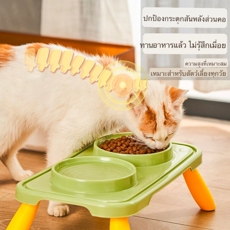 ชามอาหารแมว-ชามอาหารสุนัข-โต๊ะอาหารแมว-ทรงสูง-ชามอาหารสัตว์เลี้ยง-ขนาดใหญ่
