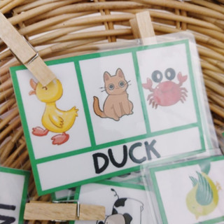 สื่อการสอนตัวหนีบสัตว์ต่างๆ (animals)