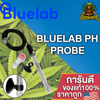 Bluelab pH Probe หัววัดค่า pH สำหรับเปลี่ยนหัววัดค่า ph Bluelab Guardian Monitor