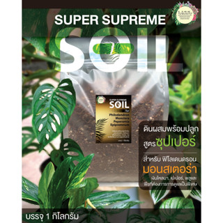 สูตร Super Supreme !!!! ดินผสมพร้อมปลูกสำหรับไม้ด่าง มอนสเตอร่า, ฟิโลเดนดรอน, เปปเปอร์ และไม้ตระกูลพลู