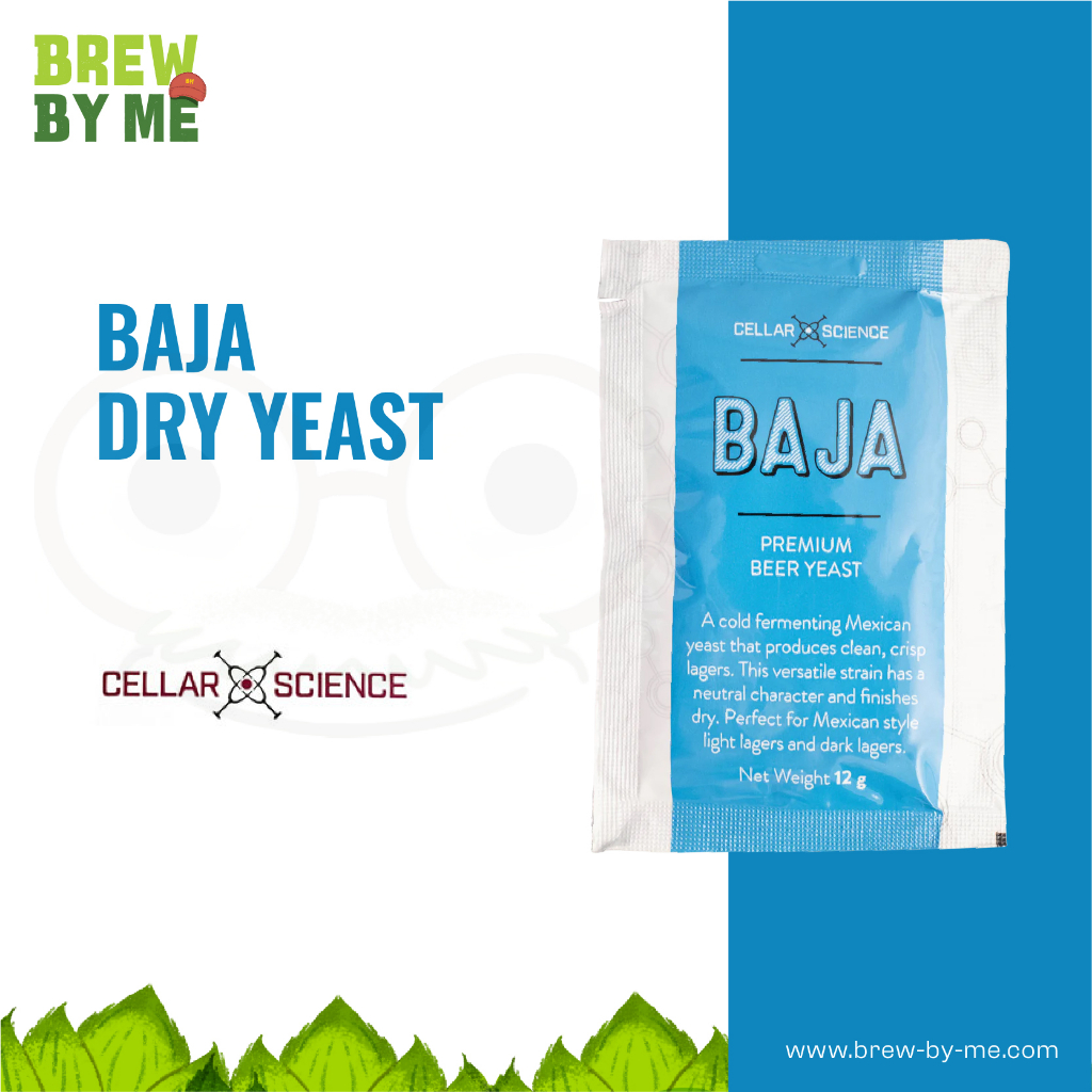 ยีสต์หมักเบียร์-baja-dry-yeast-cellarscience-homebrew-ทำเบียร์