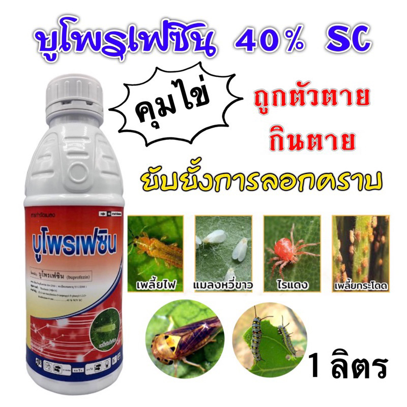 บูโพรเฟซิน-40-sc-กำจัดตัวอ่อนเพลี้ย-เพลี้ยกระโดดสีน้ำตาล-กำจัดไข่-เพลี้ยไฟ-เพลี้ยอ่อน-แมลงหวี่ขาว