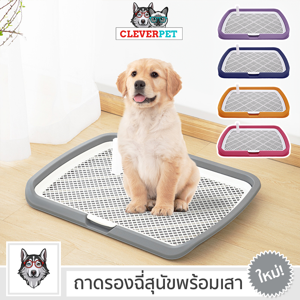 พร้อมส่ง-dog-tray-ห้องน้ำสุนัข-ถาดรองฉี่สุนัข-ถาดรองฉี่สัตว์เลี้ยง-ถาดฉี่หมามีเสา-ถาดรองฉี่พร้อมเสา-cleverpet