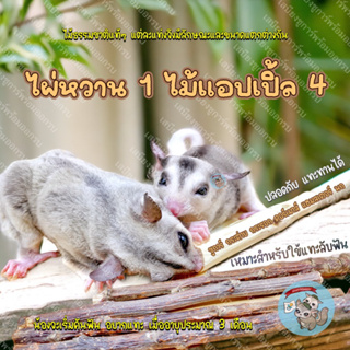 ภาพหน้าปกสินค้า( 4+1 ) ไผ่หวาน 1 ไม้แอปเปิ้ล 4 สัตว์ฟันแทะ ชูการ์ แฮมสเตอร์ กระรอก ดอร์เมาส์ กระต่าย บุชเบบี้ แกสบี้ แพรี่ด็อก หนู ที่เกี่ยวข้อง