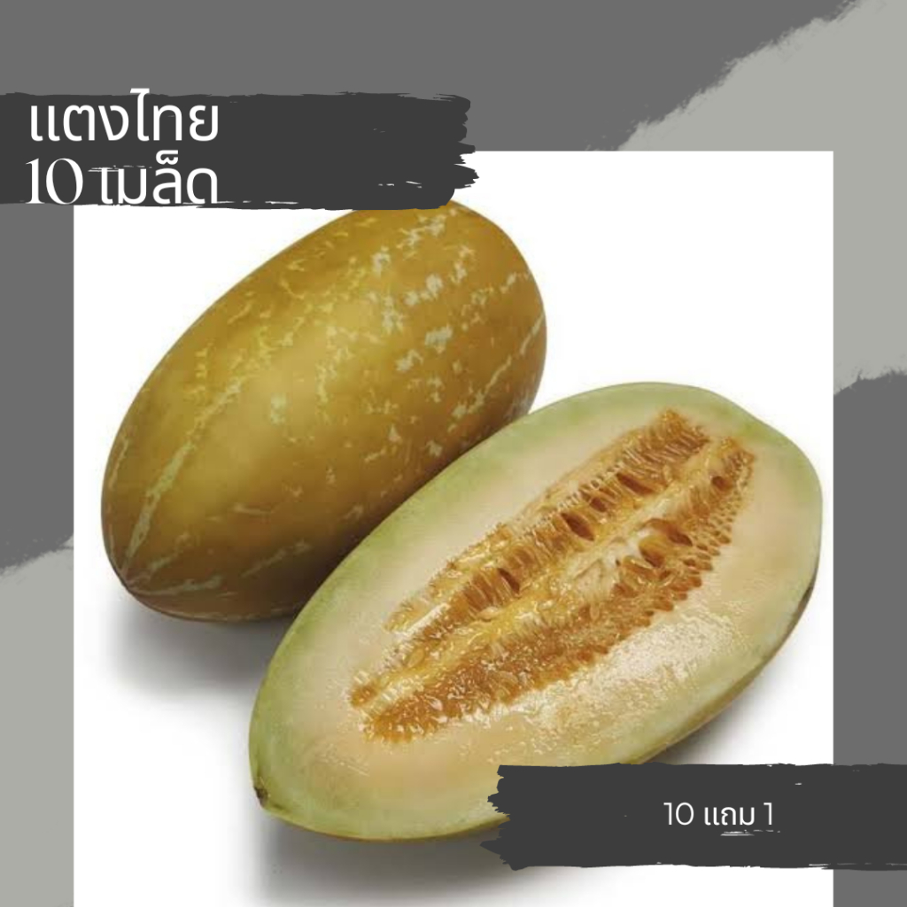 เมล็ดแตงไทย-เมล็ดผัก-เมล็ดพันธุ์ผัก-เมล็ดผักสวนครัว-10แถม1-คละได้