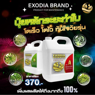 ปุ๋ย AB Exodia Brand ปุ๋ยหลักสูตรระยะทำใบ Vegetative