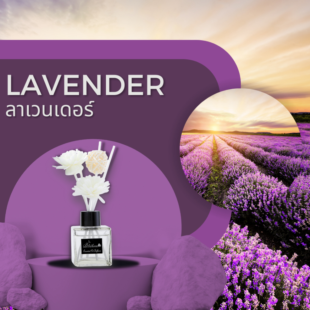 Lavender Luxury Aroma Reed Diffuser 50ml ก้านน้ำหอมอโรม่าอย่างดี กลิ่น ...