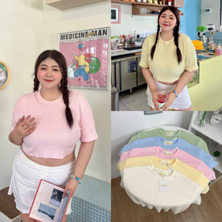 Pastel Crop 🧸🛋️🥨🧁🩷🩵  ครอปผ้าร่องสีพาสเทล สำหรับสาวๆ plussize