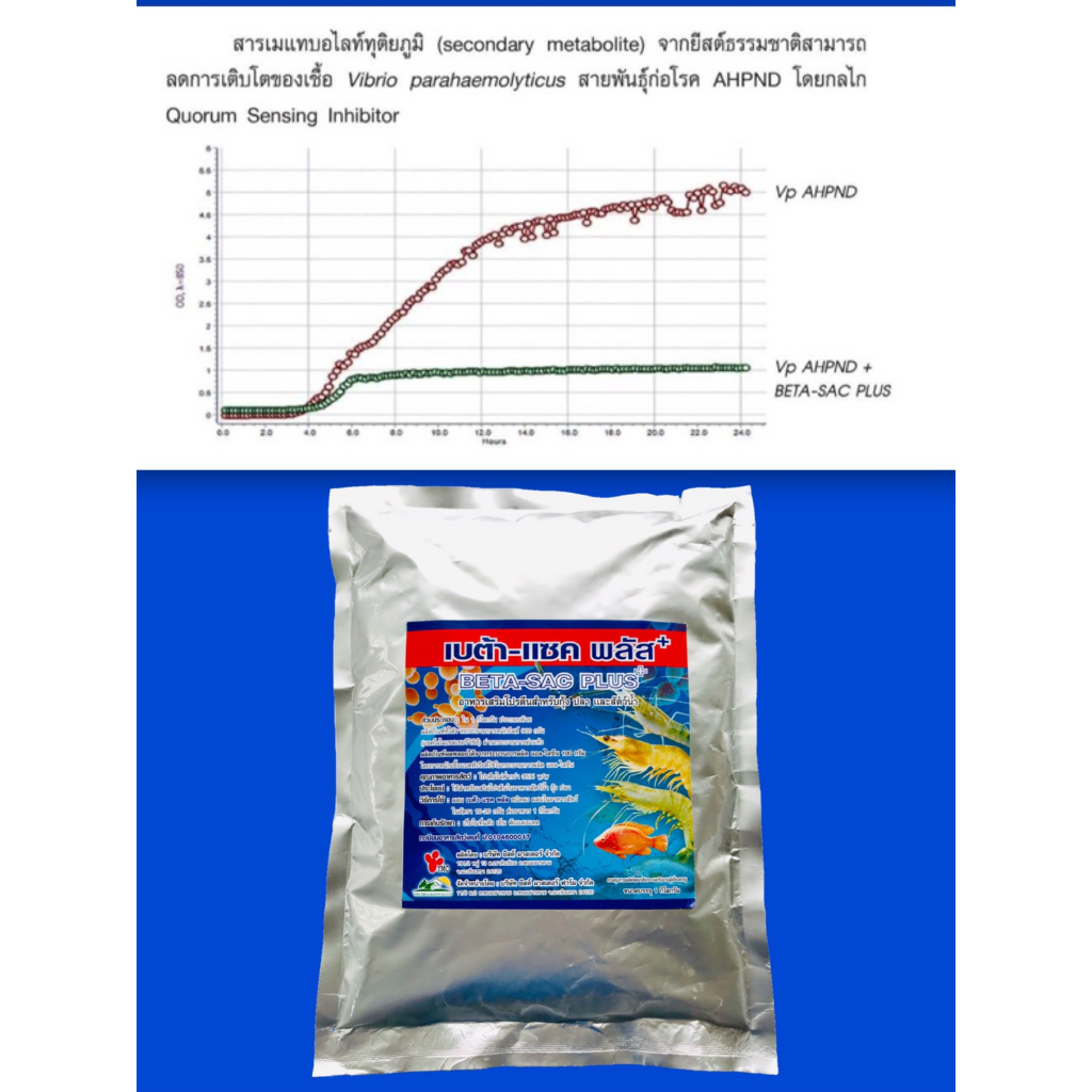 อาหารเสริมกุ้ง-beta-sac-plus-เบต้าแซคพลัส-ยีสต์-อาหารเสริมโปรตีน-ชนิดผง-12-ซอง-กุ้งโตไว-ป้องกันโรคขี้ขาว-กุ้งขาว