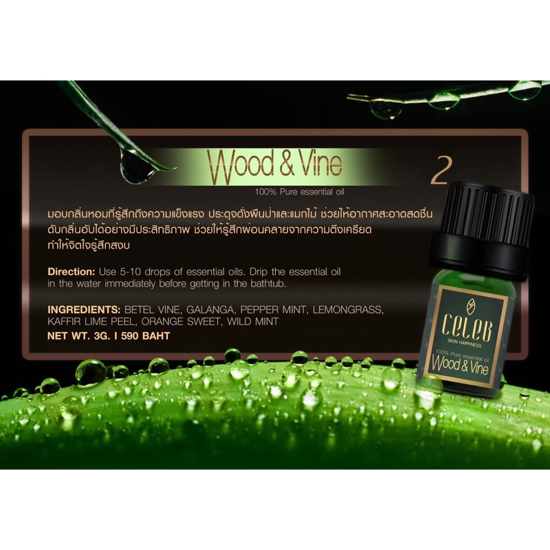 100-pure-essential-oil-สัมผัสกลิ่นบริสุทธิ์จากธรรมชาติ