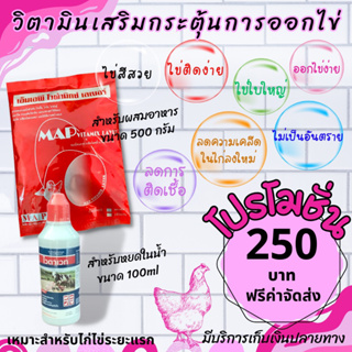 พร้อมส่ง [ของแท้] ชุดโปรโมชั่น ไก่ไข่ เป็ดไข่ ไข่ดก สีสวย [ ชุดทดลอง ]