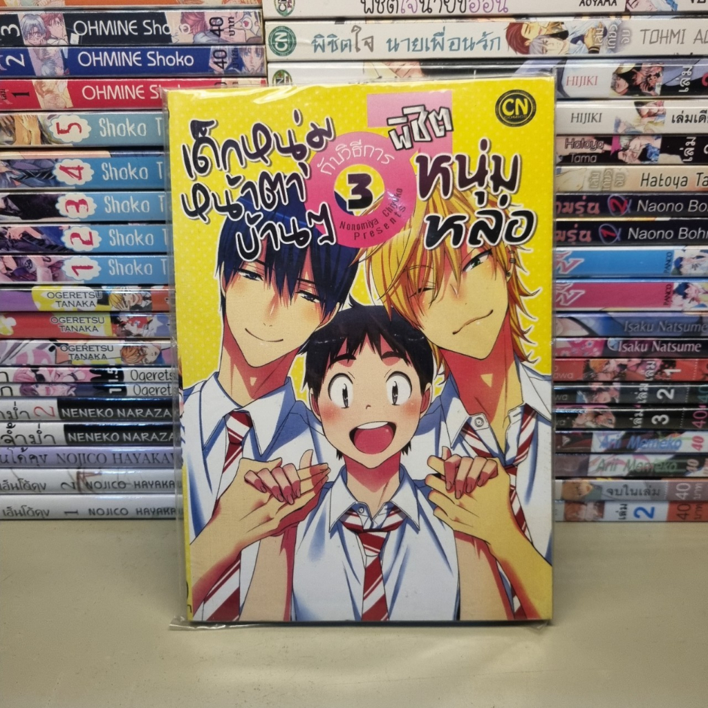 เด็กหนุ่มหน้าตาบ้านๆกับวิธีการพิชิตหนุ่มหล่อ-เล่ม-3-by-nonomiya-chiyoko