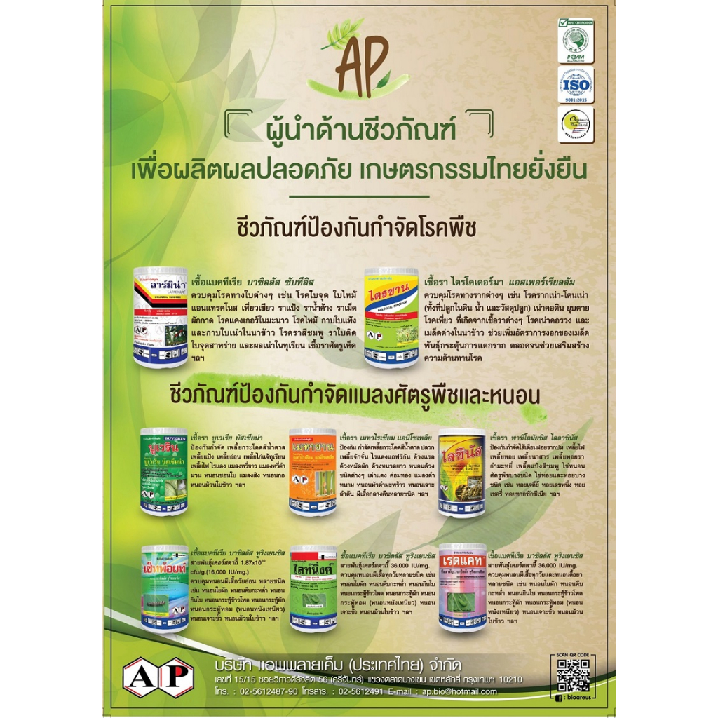 ไลซินัส-เชื้อรา-พาซิโลมัยซิส-ไลลาซินัส-สายพันธุ์-ซีเคพี-012-wp-500-กรัม-ป้องกันกำจัดไส้เดือนฝอยรากปม-หนอน-เพลี้ย