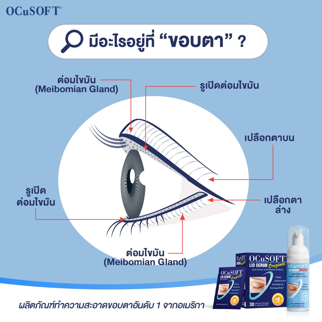 ocusoft-lid-scrub-plus-foam-ทำความสะอาดเปลือกตาอย่างอ่อนโยน-สูตรไม่ต้องล้างน้ำออก-ขนาด-50-ml