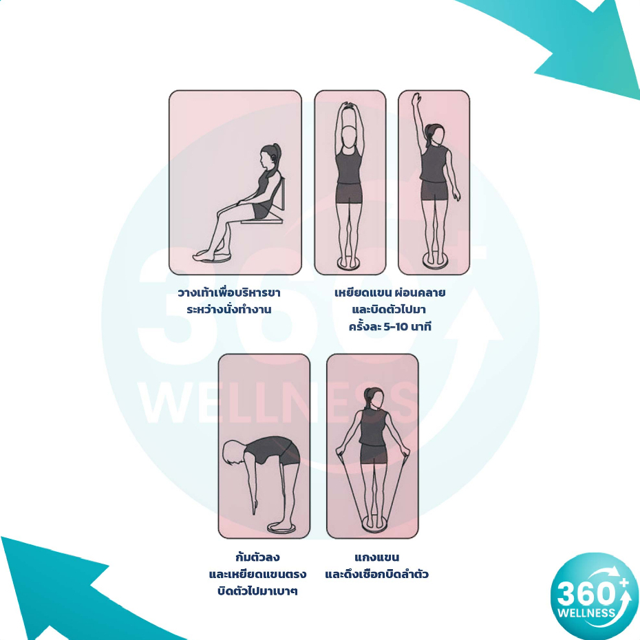 360wellness-ศูนย์รวมอุปกรณ์เพื่อผู้สูงอายุ-จานหมุนออกกำลังกาย-จานหมุน-จานทวิสต์-จานหมุนเอว-ออกกำลังกาย-พร้อมเชือก